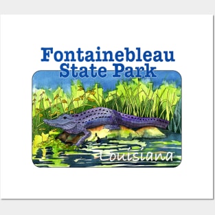 Fontainebleau State Park, Louisiana Posters and Art